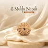 5 Mukhi Nepali Rudraksha