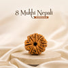 8 Mukhi Nepali Rudraksha