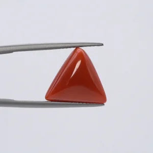 Natural Red Coral - 7.68ct