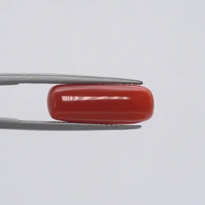 Natural Red Coral - 6.02ct