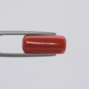 Natural Red Coral - 7.79ct