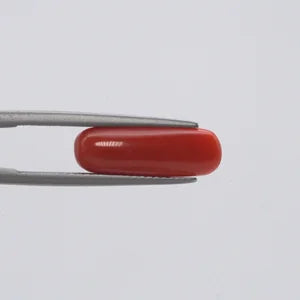 Natural Red Coral - 3.82ct