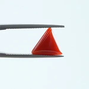 Natural Red Coral - 2.64ct