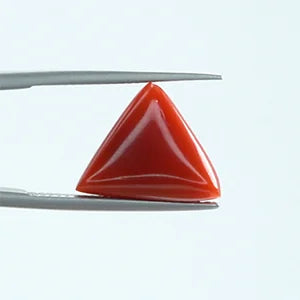 Natural Red Coral - 7.93ct