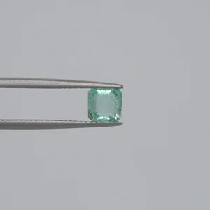 Natural Emerald - 0.92ct