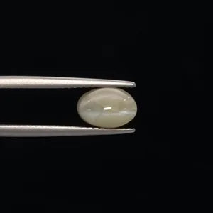 Natural Cats Eye - 3.82ct