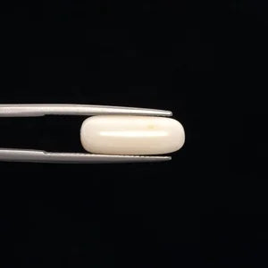 White Coral - 3273