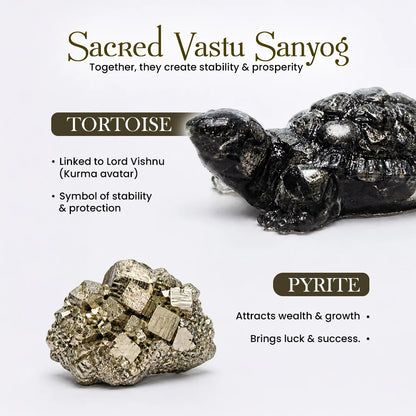 Pyrite Tortoise (Kachhua)
