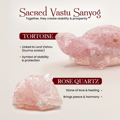 Rose Quartz Tortoise (Kachhua)