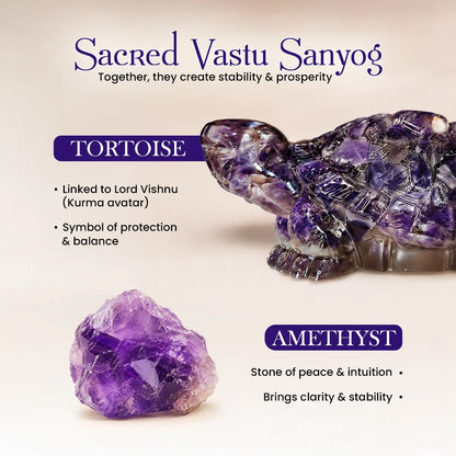 Amethyst Tortoise (Kachhua)
