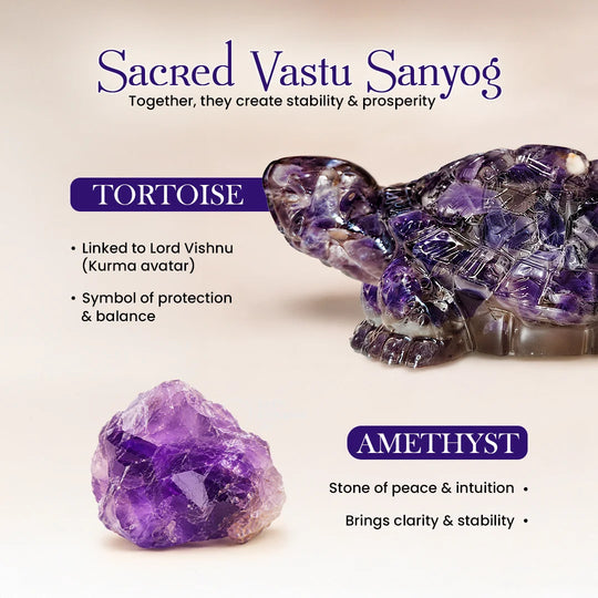 Amethyst Tortoise (Kachhua)