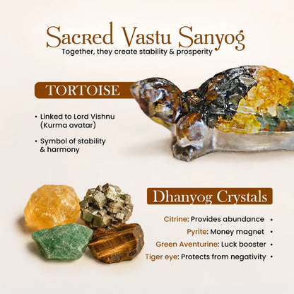 Dhanyog Tortoise (Kachhua)