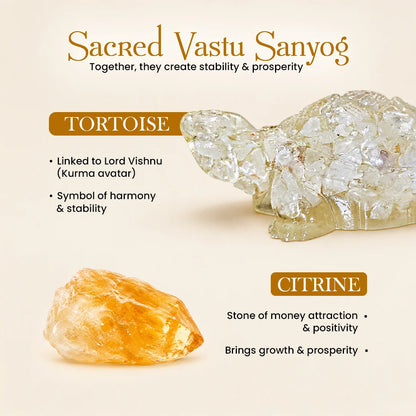 Citrine Tortoise (Kachhua)