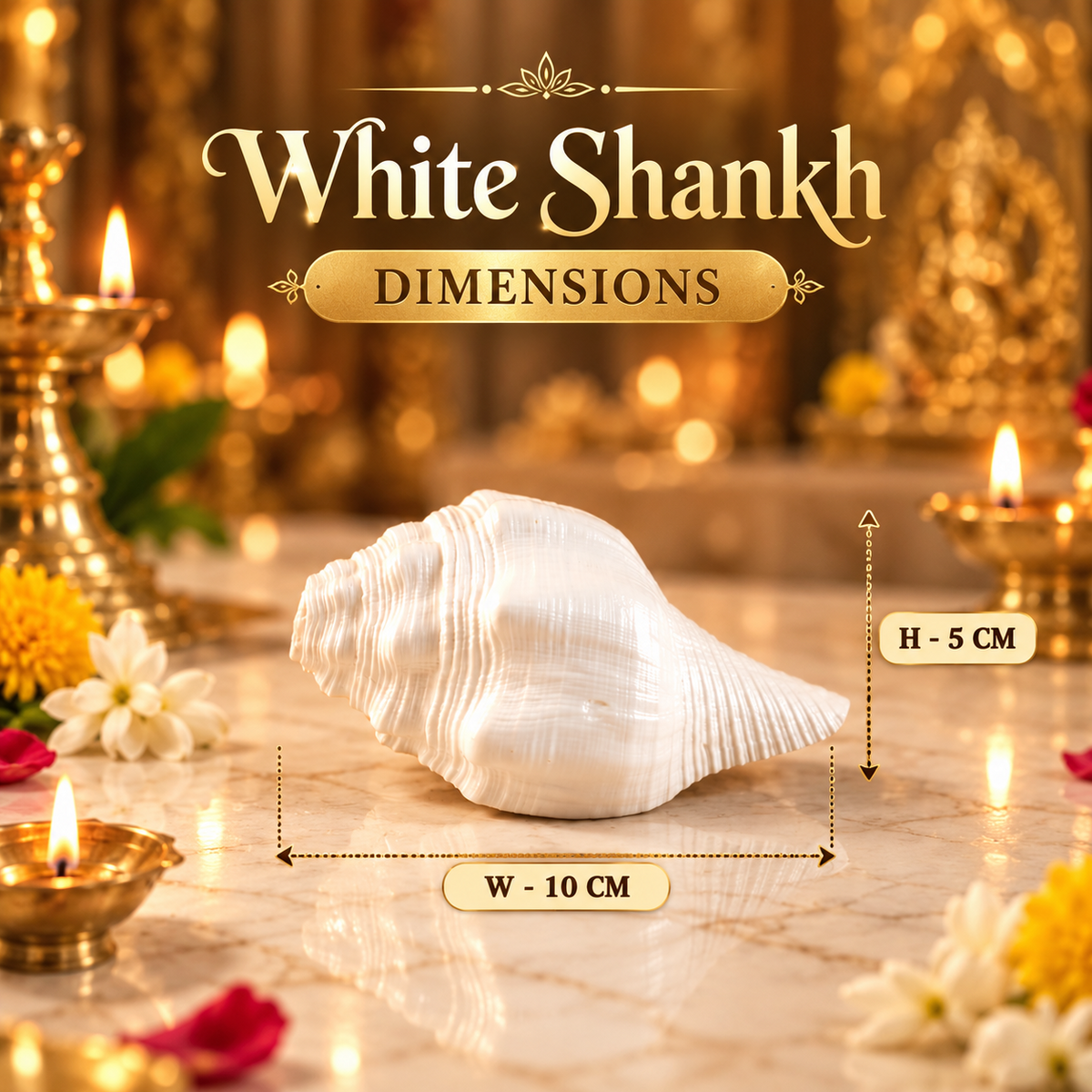 White Shankh