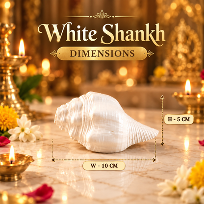 White Shankh