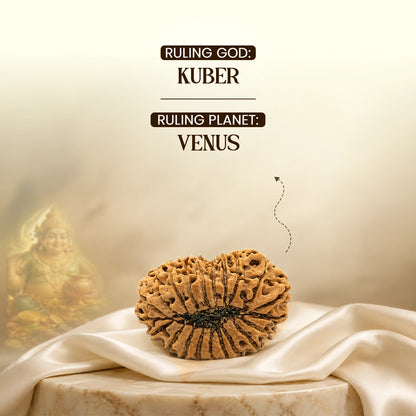 Energized 21 Mukhi Nepali Rudraksh