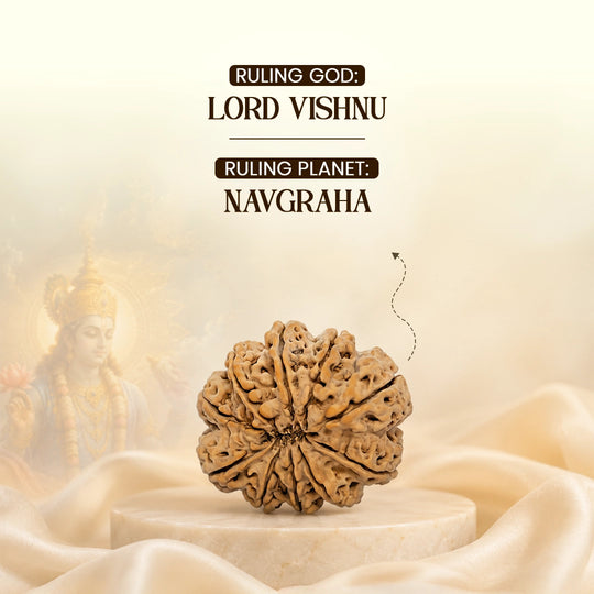 10 Mukhi Nepali Rudraksha