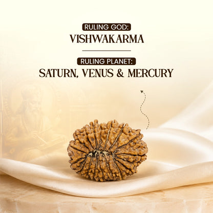 Energized 17 Mukhi Nepali Rudraksha