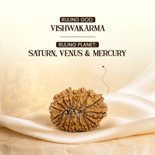 17 Mukhi Nepali Rudraksha