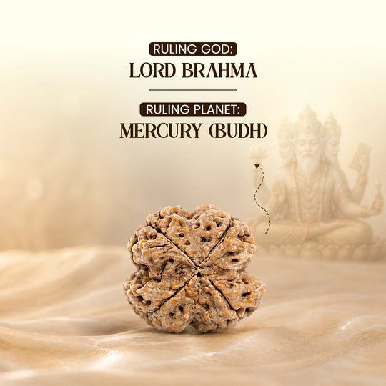 4 Mukhi Nepali Rudraksha