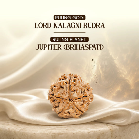 5 Mukhi Nepali Rudraksha