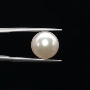 Pearl - 3610
