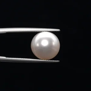 Pearl - 3586