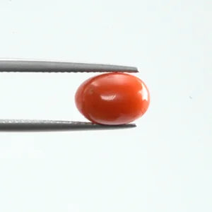 Natural Red Coral - 2.85ct