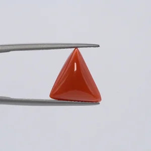 Natural Red Coral - 5.49ct