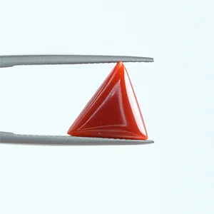 Natural Red Coral - 3.34ct