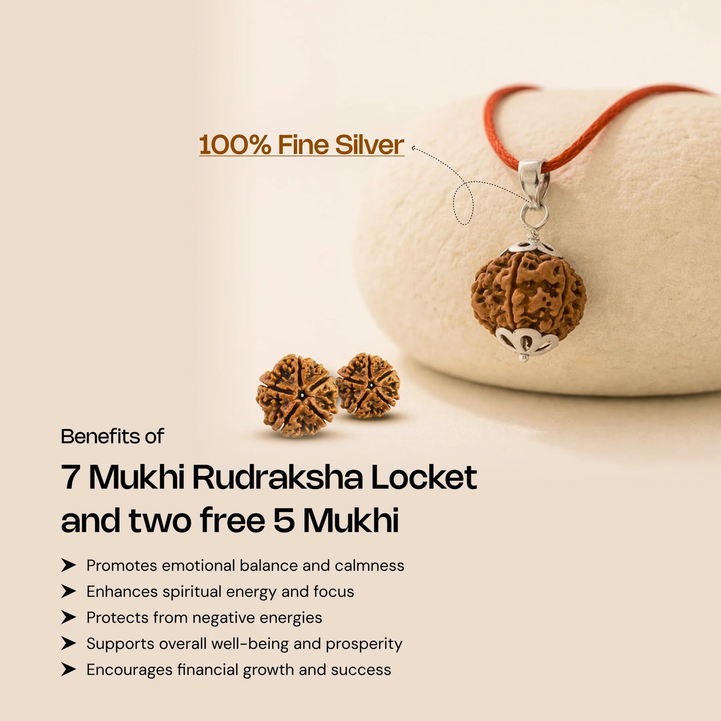7 Mukhi Rudraksha in Silver Locket + Free 5 Mukhi Rudraksha (2 Pieces) - Gemsinvite  