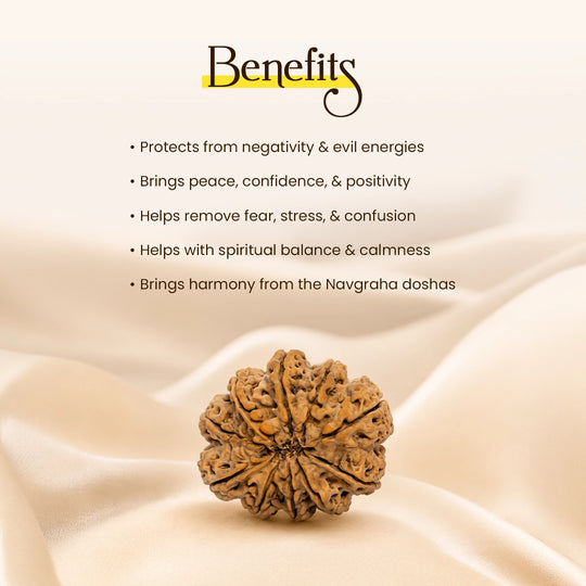 10 Mukhi Nepali Rudraksha