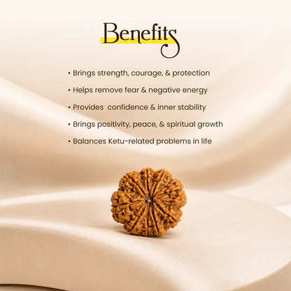 Energized 9 Mukhi Nepali Rudraksha