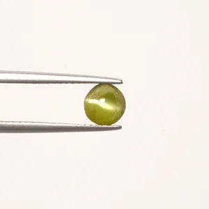 Natural Cats Eye - 2.62ct