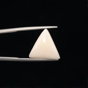 White Coral - 3240