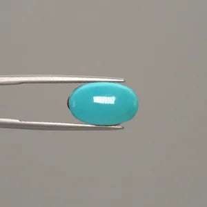 Natural Turquoise - 3.89ct
