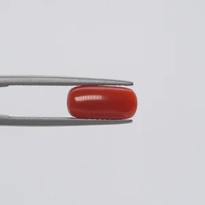 Natural Red Coral - 2.73ct