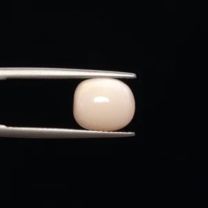 Natural White Coral - 5.35ct