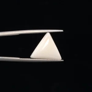 White Coral - 3241