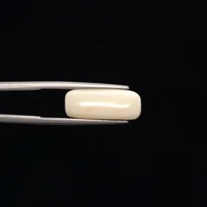 Natural White Coral - 7.38ct