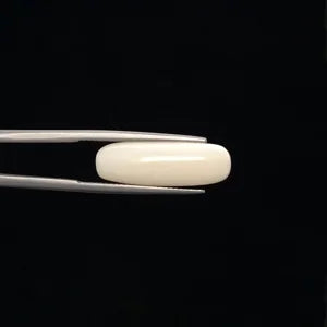 White Coral - 3257