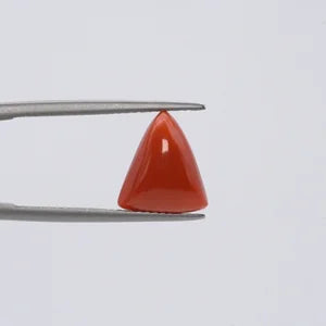 Natural Red Coral - 4.06ct