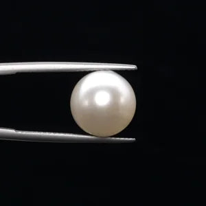 Pearl - 3608