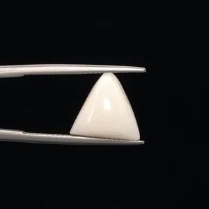 Natural White Coral - 7.42ct