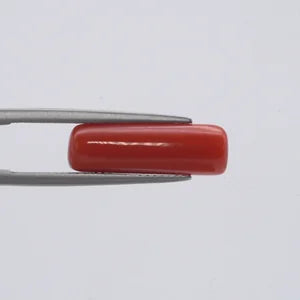 Natural Red Coral - 6.27ct