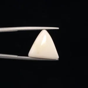 Natural White Coral - 10.52ct