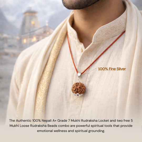 7 Mukhi Rudraksha in Silver Locket + Free 5 Mukhi Rudraksha (2 Pieces) - Gemsinvite  