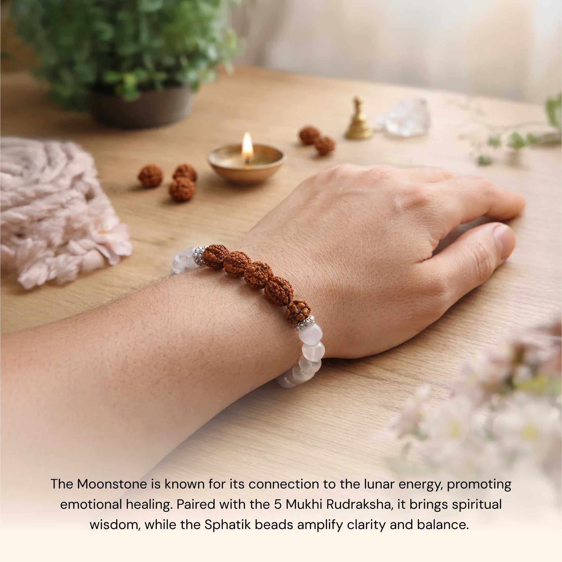 Shiv Ganga Authentic 5 Mukhi Rudraksha Moonstone Sphatik Bracelet - Gemsinvite  