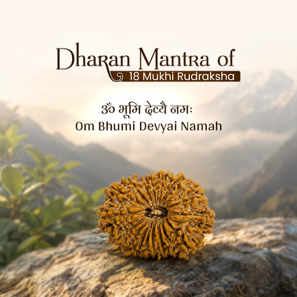 Energized 18 Mukhi Nepali Rudraksha