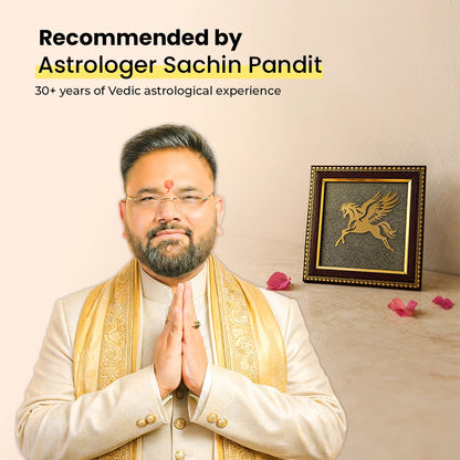 Flying Horse Pyrite Frame